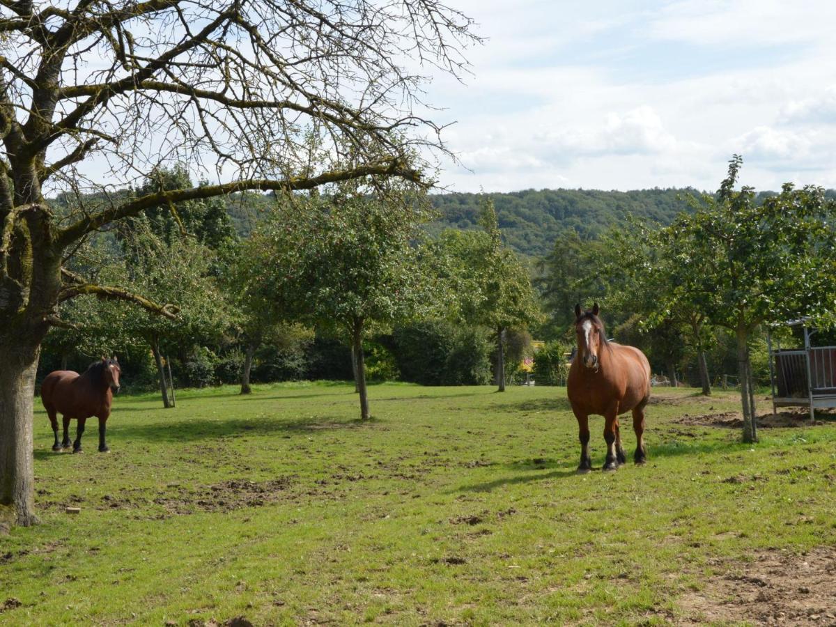 Spacious House In A Farm Located In The Bucolic Teuven المظهر الخارجي الصورة